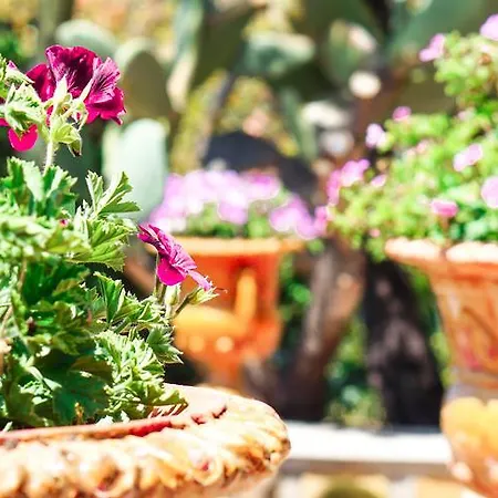 Apartment Caterina - Solemar Sicilia *